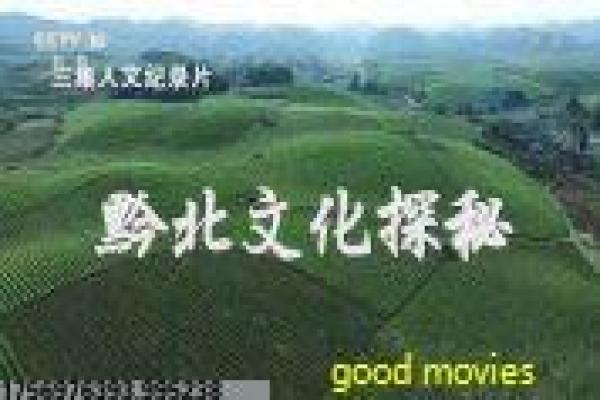 《金太狼的幸福生活》剧情讲解,太狼幸福的都市婚姻与搞笑喜剧故事