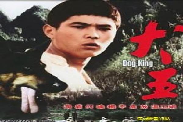 《警花与警犬》剧情解析|警匪题材与人物成长故事
