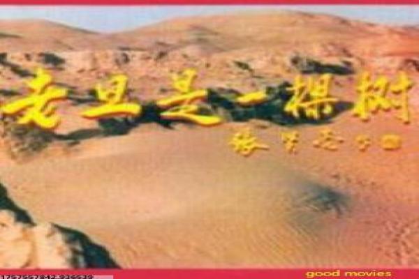《西游伏妖篇》伏妖西游影片拍摄故事及降妖冒险揭秘