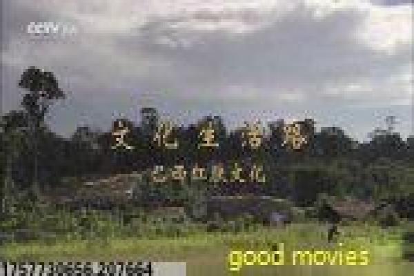 《悲伤逆流成河》校园暴力与情感线剧情解析