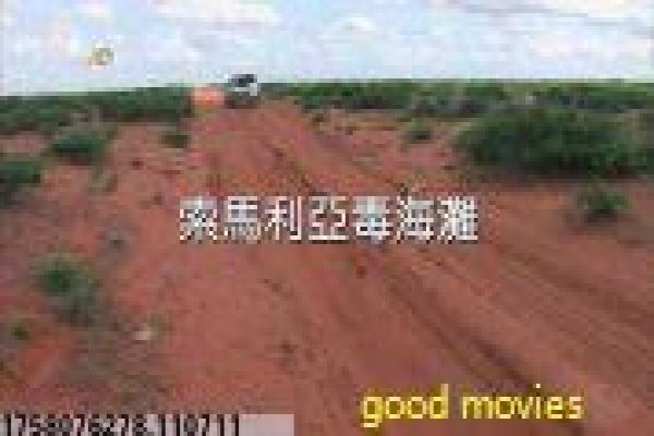 《安吉拉怀孕记》故事情节深度还原,安吉拉怀孕记生活的过程