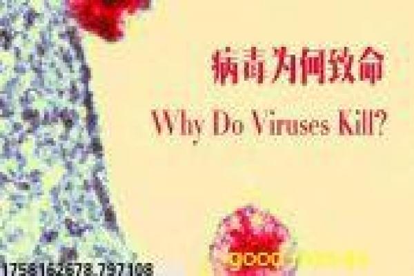 《大西洋帝国第一季在线》重温大西洋帝国第一季黑帮世界的权谋初现