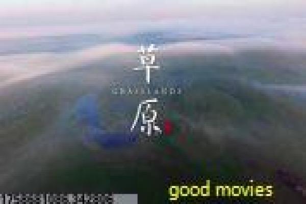 《心旅》旅之心影片详细分析及心灵旅程解析