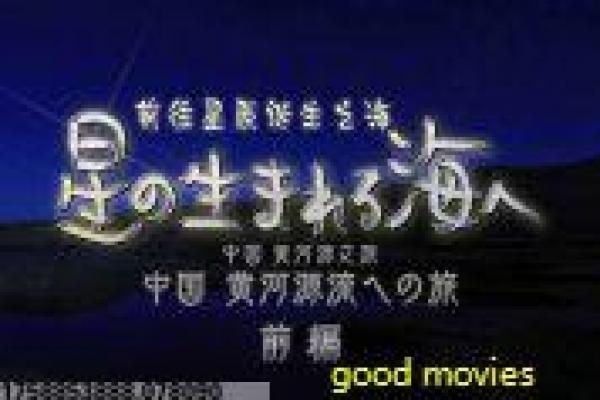 《逗鸟外传,萌宝满天飞》荒岛求生的爆笑育儿,逗鸟外传,萌宝满天飞欢乐讲解鸟族冒险