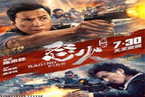 《共助电影》共助的南北韩联手,详细还原玄