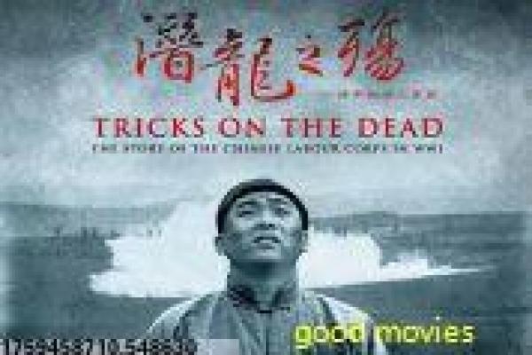 《野性任务》影片简介-任务野性的丛林冒险,讲述特种行动与自然挑战,展现野外求生的惊险与智慧