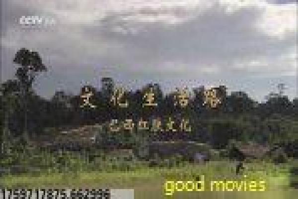 第八号当铺观看-第八号当铺观看灵魂,第八
