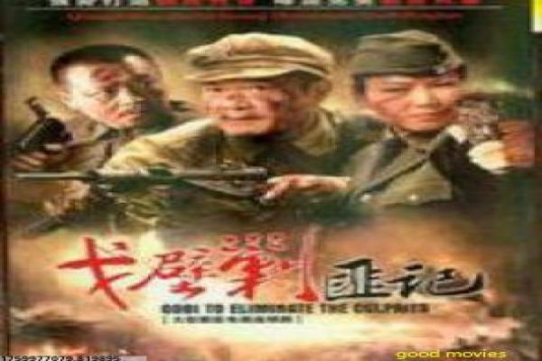 《县委大院》基层设定与政务结构讲解