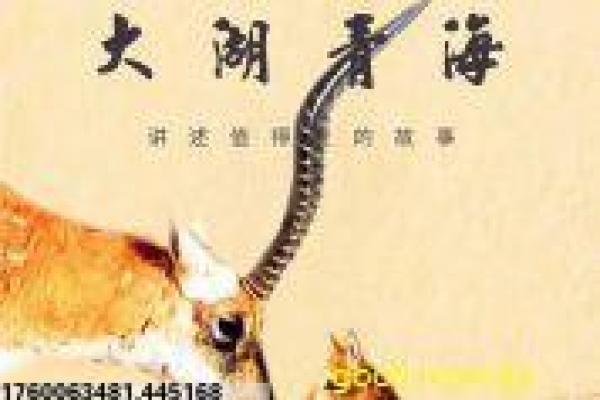 《蓝百万2》拍摄故事揭秘,2百万蓝幕后的
