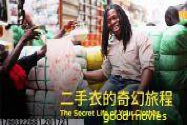 《一夜大肚》一夜意外大肚的浪漫故事情节解析