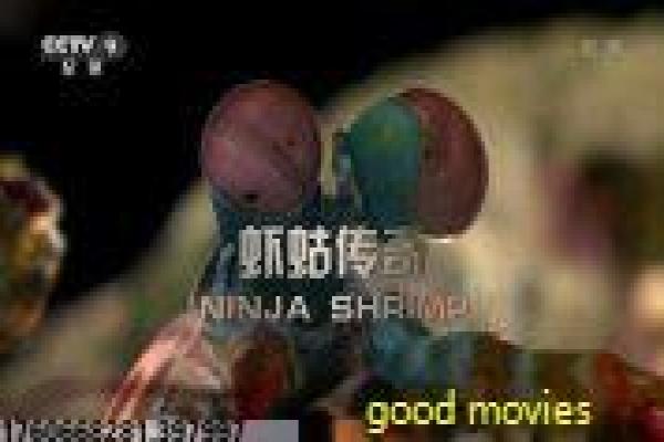 源代码电影-源代码的时空循环,深度解析杰