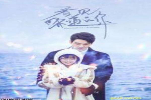 《不知不觉爱上你》影片解析,不知不觉爱上你爱情的剖析