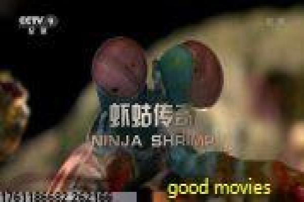 《所谓婚姻》婚姻真相的现实剖析,解析爱情磨合与生活压力的感人深意